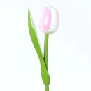 Wooden Tulip - Tulpe aus Holz - white-pink