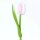 Wooden Tulip - Tulpe aus Holz - white-pink