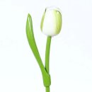 Wooden Tulip - Tulpe aus Holz - white-green