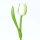 Wooden Tulip - Tulpe aus Holz - white-green