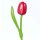 Wooden Tulip - Tulpe aus Holz - red-pink