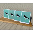waddesign - Postkarte Amrum Austernfischer