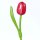 Wooden Tulip - Tulpe aus Holz - pink-white
